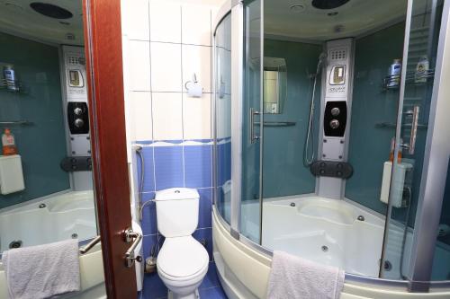 a bathroom with a toilet and a shower at Amigosranch in Kruševac