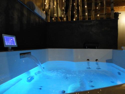 jacuzzi num quarto com televisão em Le Cocon du Domaine des Ecus d'Or em Montceau-et-Écharnant