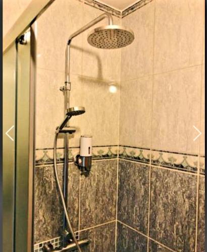 a shower in a bathroom with a glass door at Vila Mirsada in Sarajevo