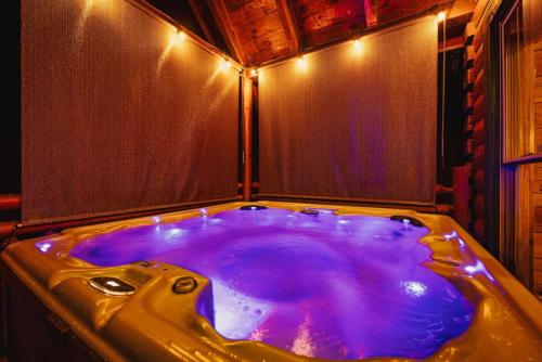 Bear Down with Hot Tub, Pool Table, Arcade Games – Photos 3