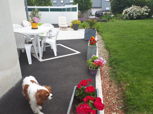 Gallery image of macareux in Binic-Etables-sur-Mer