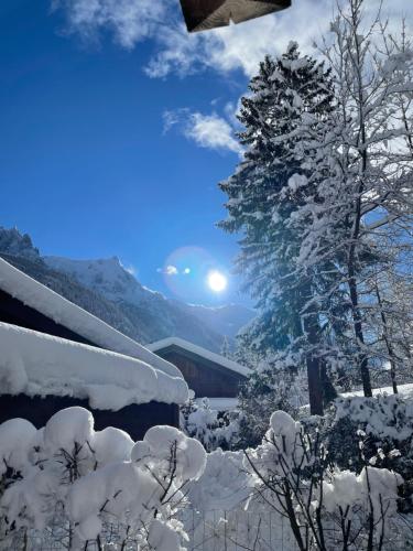 chalet Polar photo 29