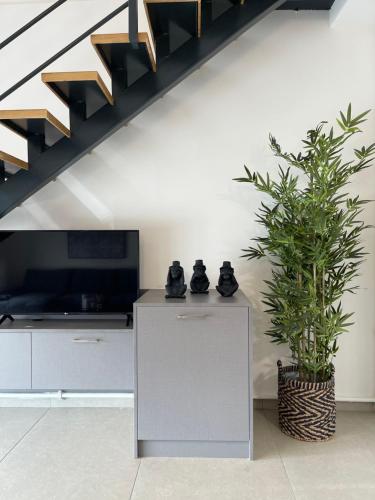 a living room with a cabinet and a potted plant at Athenean Modern Escape near Marina Flisvos in Athens