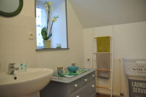 ein Badezimmer mit einem Waschbecken und einem weißen Waschbecken in der Unterkunft Les Hortensias in Gatteville-le-Phare