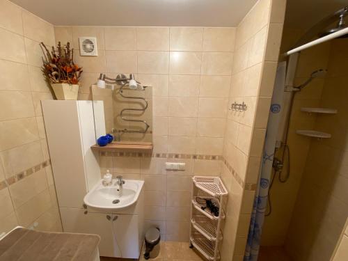 y baño pequeño con lavabo y ducha. en Nida Lotmiškio 15, en Nida
