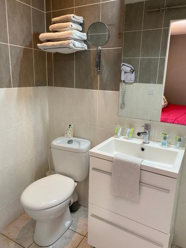 a bathroom with a toilet and a sink and a mirror at LOGIS Hôtel La Chaumière in Marseillan
