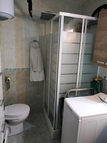 ein Badezimmer mit Toilette und Dusche in der Unterkunft apartamento en la pineda in La Pineda