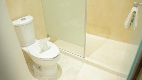 a bathroom with a toilet and a shower at Moonshine Tulum Hotel & Hostel in Tulum
