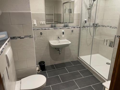 een badkamer met een toilet, een wastafel en een douche bij Gasthof Hertigswalde in Sebnitz