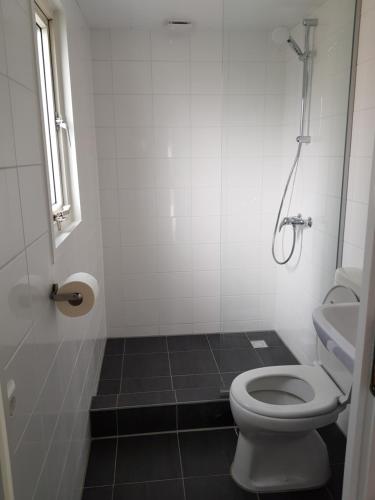 Bilik mandi di De Bijsselse Enk, Goudsbloem