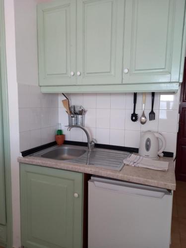 a kitchen with green cabinets and a sink at Evangelia Studios in Sígrion