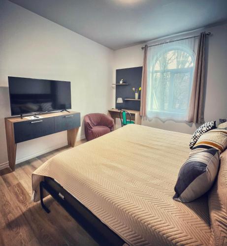 a bedroom with a large bed and a television at Auberge Le St-Alexis in La Baie