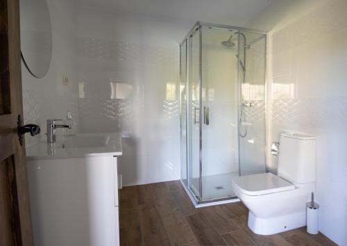 a bathroom with a shower and a toilet and a sink at Casa Maia in A Coruña