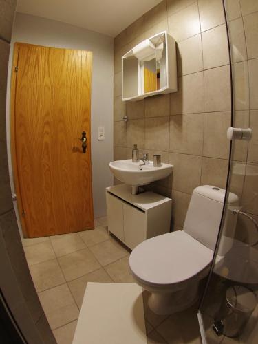 a bathroom with a toilet and a sink and a door at Haus Kraus in Bayerisch Eisenstein