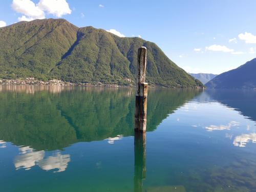 a wooden post in the middle of a lake with mountains at Cantina antica in Colonno