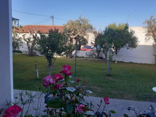a view of a yard with pink roses at Skiathos Maria Apartments in Skiathos Town