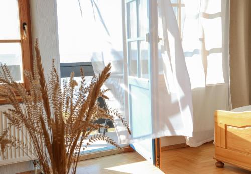 a vase with a plant in a room with a window at Prie Mariu in Nida