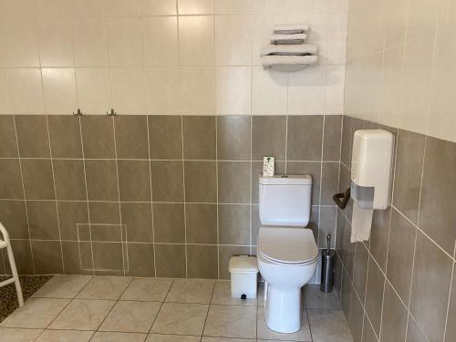 a bathroom with a toilet and a tiled wall at LOGIS Hôtel La Chaumière in Marseillan