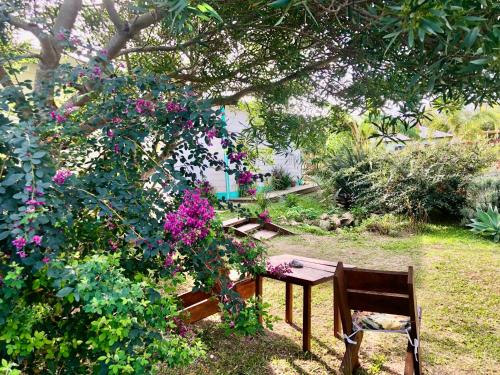 a garden with a bench and a tree with flowers at Posada Agua Marina in La Paloma