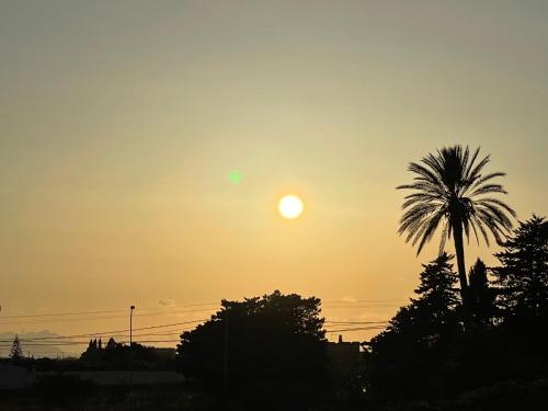 a sunset with a palm tree and the sun at Sunset in Trapani