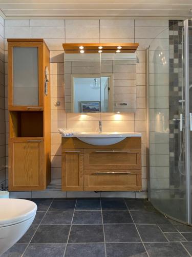 uma casa de banho com um lavatório, um chuveiro e um WC. em Beautiful house in the nature with private river access em Luleå