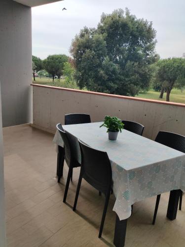 een witte tafel en stoelen met een potplant erop bij Casa Polly in Follonica
