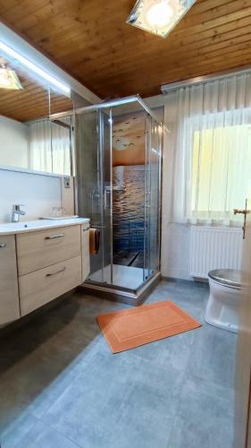 a bathroom with a shower and a sink and a toilet at Ferienparadies Gutounik in Pörtschach am Wörthersee