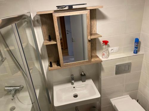 a bathroom with a sink and a shower and a mirror at Usedlost Pivoňka in Mnichov