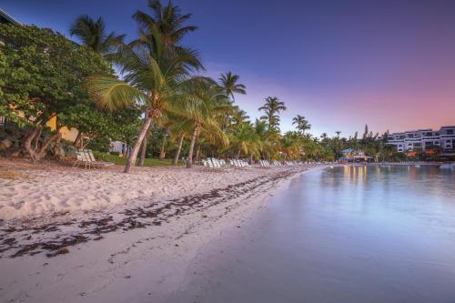 a beach with palm trees and the water at Elysian Beach Resort in St Thomas