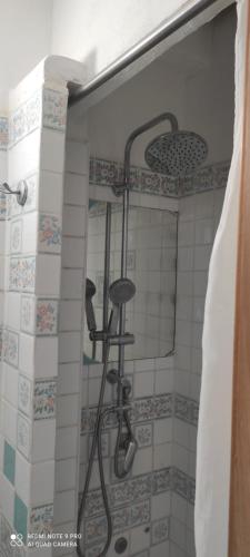a shower with a shower head in a bathroom at Il Cigno Affittacamere Bed & Breakfast in Ponza