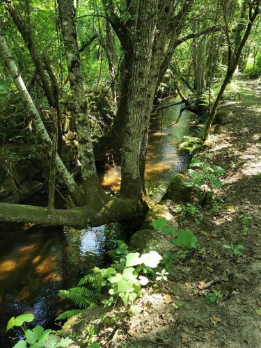 Φυσικό τοπίο κοντά σε αυτή η παραθεριστική κατοικία