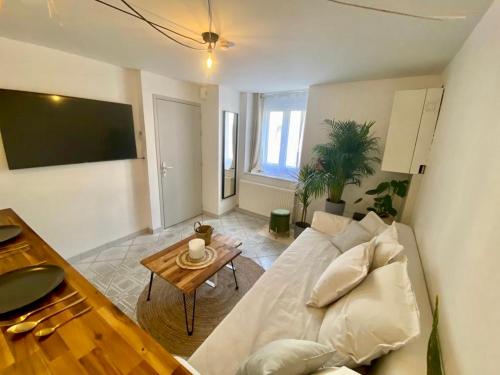 a living room with a white couch and a table at La Cascade verte /Appartement /jardin /parking in Braux