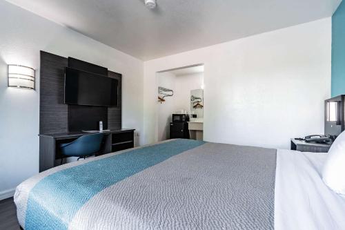 a hotel room with a large bed and a desk at Motel 6 Tampa Near Fairgrounds - Casino in Tampa