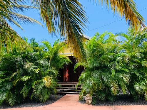 a house with palm trees in front of it at Domaine Saint-François in Saint-François