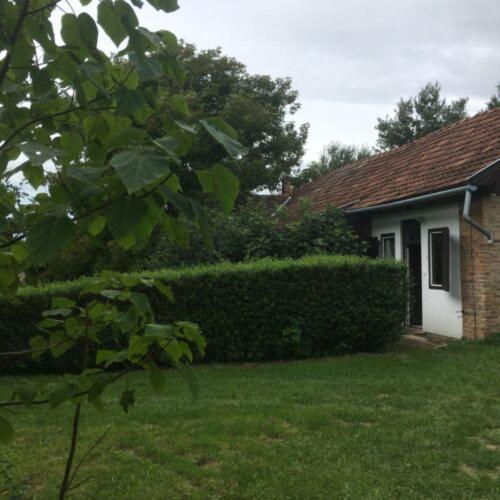 a house with a hedge in front of a yard at MISU - HÁZA in Kerkakutas