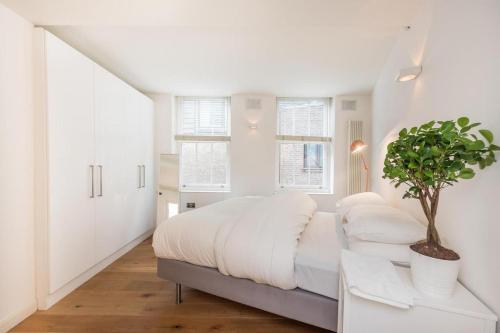 a white bedroom with a bed and a potted plant at Fantastic 1 Bedroom Flat Leicester Square West End in London