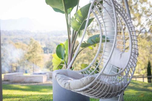 a plant in a wicker chair in the grass at Staghorn Manor in Lovedale