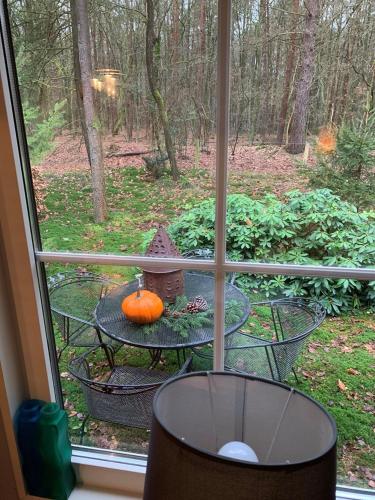 a pumpkin sitting on a table in front of a window at Woudhof in Laag-Soeren