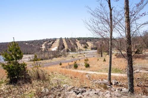 a road in the middle of a field with trees at Kelto Kabin in Lake Harmony