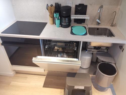 a kitchen counter with a sink and a dishwasher at My G yoo Apartment #1 in Istanbul