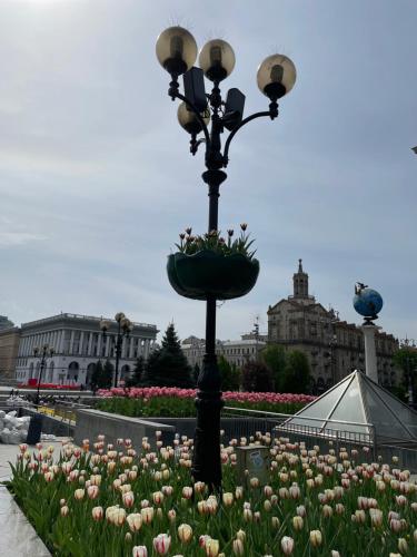 a street light with flowers in a garden at Однокімнатні апартаменти на Майдані, дистанційне заселення 24х7 in Kyiv