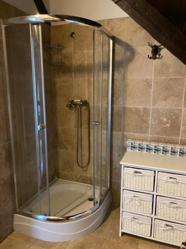 W łazience znajduje się prysznic ze szklanymi drzwiami. w obiekcie Siedlisko Maria Jabłonowo w mieście Jabłonowo