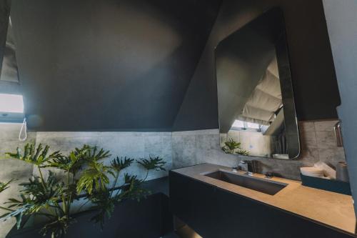 大叻Bliss House Đà Lạt的相册照片