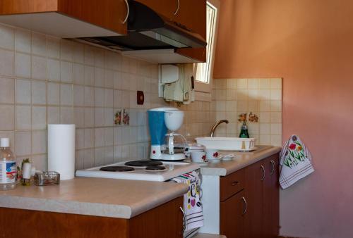 a small kitchen with a stove and a sink at Agali Beach Pansion in Mármaron