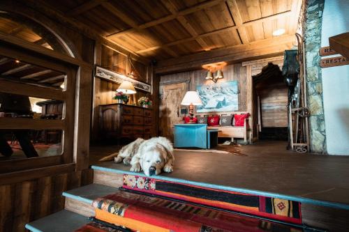 a large white dog laying on the floor in a room at Hôtel LE BLIZZARD in Val dʼIsère