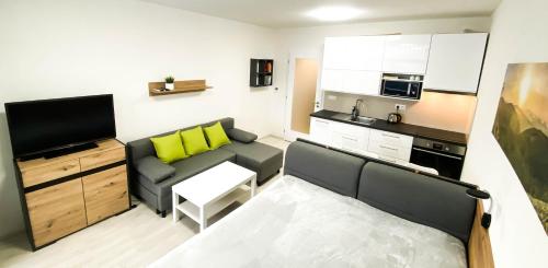 un piccolo soggiorno con divano e cucina di Apartmán LUMI Zadov a Stachy
