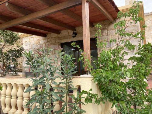Jardín al aire libre en ANEMOS residence