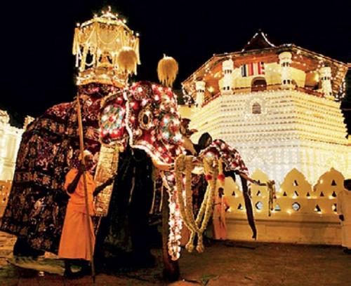 a person standing next to an elephant in front of a cruise ship at Golden Villa Kandy in Kandy