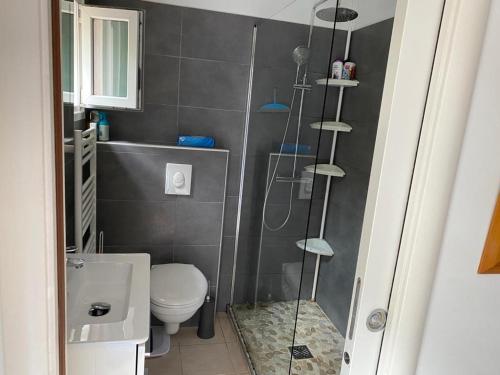 een badkamer met een douche, een toilet en een wastafel bij Bel Appartement avec Jardin pour 4 Personnes Climatisé avec Accès plage de la Gorguette à pied in Sanary-sur-Mer