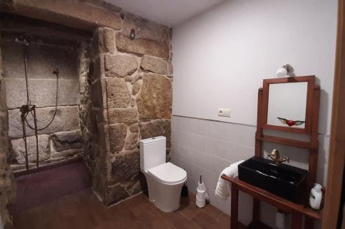 a stone bathroom with a toilet and a mirror at Casas da Bríxida. Apartamento accesibel in Cangas de Morrazo